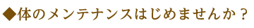 冷え、生理痛、疲れ、頭痛、肩こり、耳なり、めまい